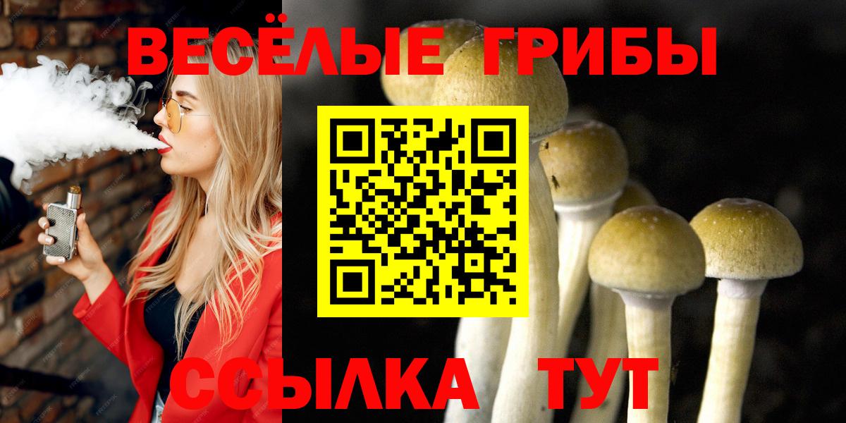 Псилоцибиновые грибы ЛСД  Псилоцибиновые грибы мухоморы  дарнет шоп  Вход с VPN  Гулькевичи 
